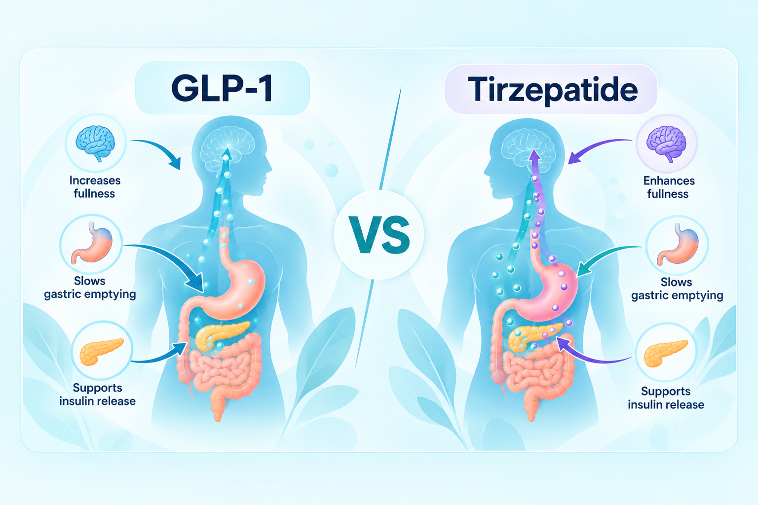GLP-1 vs Tirzepatide educational comparison illustration showing GLP-1 and GIP mechanisms